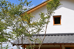 京都 修学院の家 - 4
